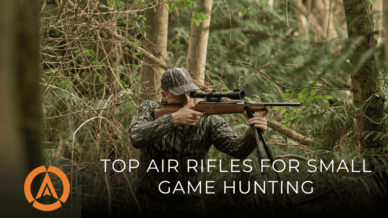 Top Air Rifles for Small Game Hunting